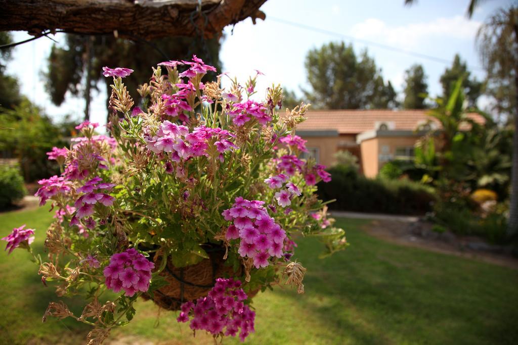Shaar Hagolan Kibbutz Country Lodging 외부 사진