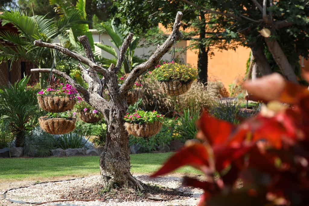 Shaar Hagolan Kibbutz Country Lodging 외부 사진