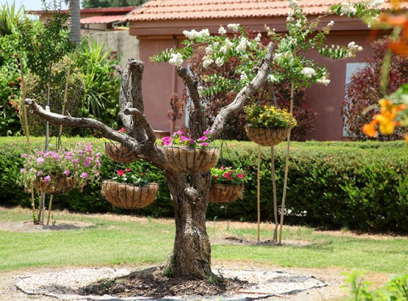Shaar Hagolan Kibbutz Country Lodging 외부 사진